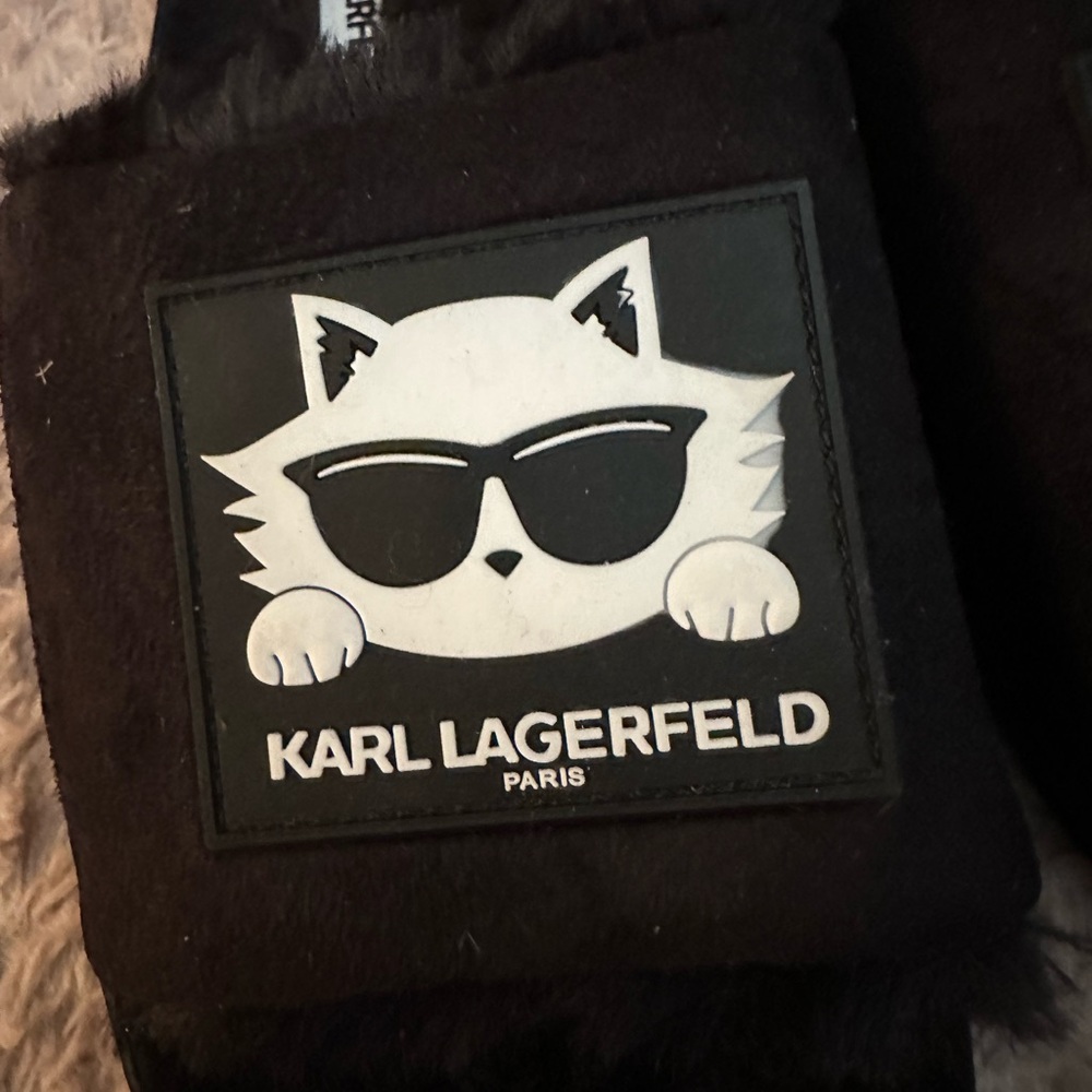 Karl Lagerfeld slides - Picture 2 of 6
